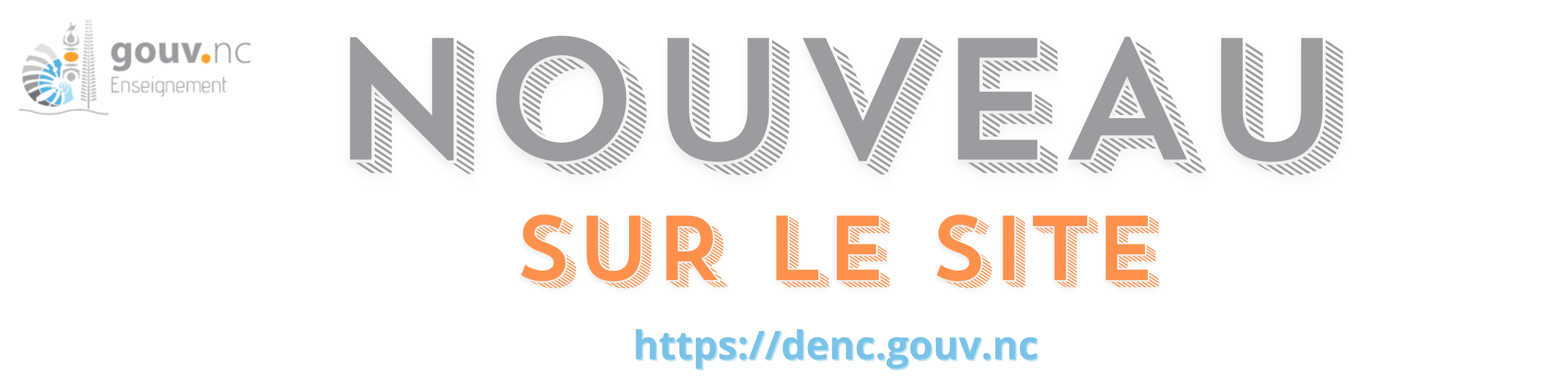 newsletter DENC