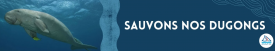 Sauvons nos dugongs