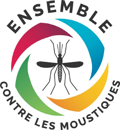 ensemble
