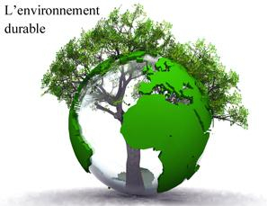 Projet d'école environnement durable